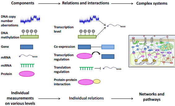 Figure 3. Normal to cancer.